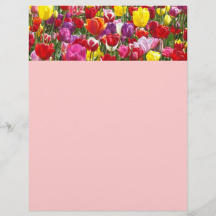 Spring Flyer's paper Themes Tulip Flowers Nature