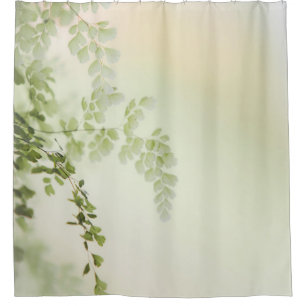 Spring Foliage