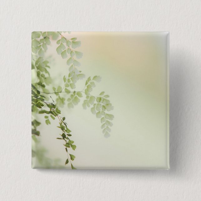 Spring Foliage 2 Inch Square Button (Front)