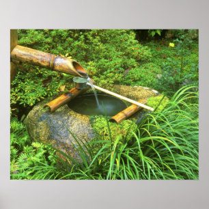 Spring for Tea Ceremony, Sanzen-in Temple, Poster