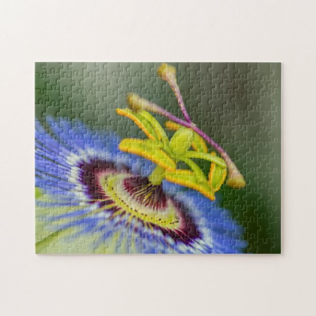 Spring Garden - Passion Flower Jigsaw Puzzle (Horizontal)