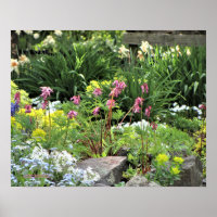 Spring Garden Perennials