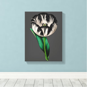 Spring Garden Tulip Flowers Canvas Print