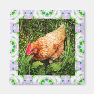 Spring Green and Easter Pink Star Square Frame Magnet