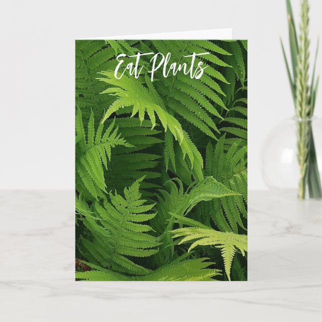 SPRING GREEN FERN PHOTO GREETING CARD (Front)