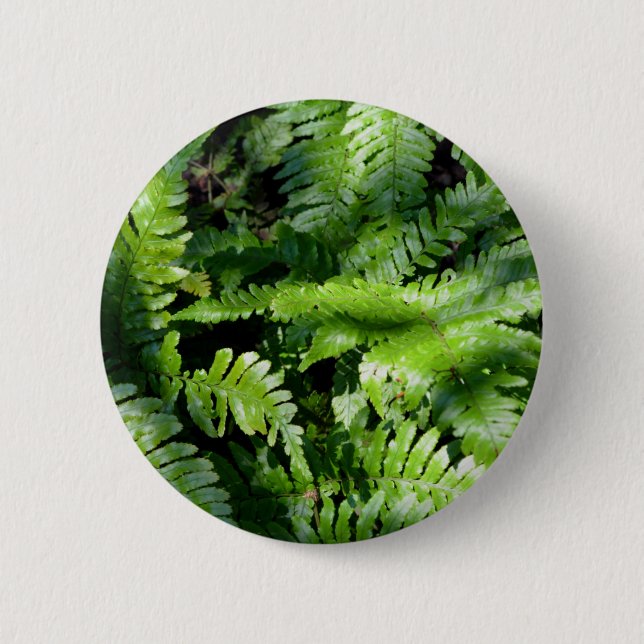 Spring Green Ferns boho botanical  2 Inch Round Button (Front)