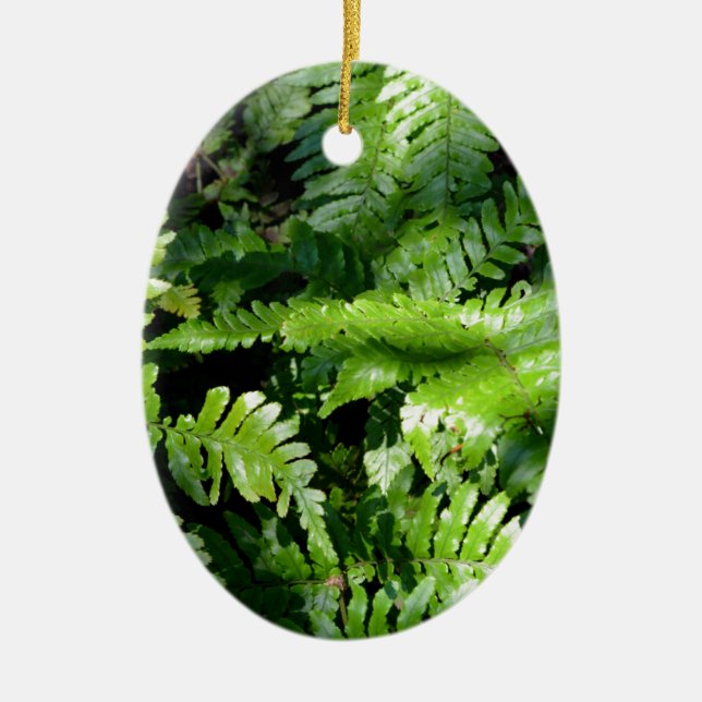 Spring Green Ferns boho botanical  Ceramic Ornament (Front)