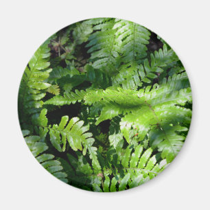Spring Green Ferns boho botanical  Magnet