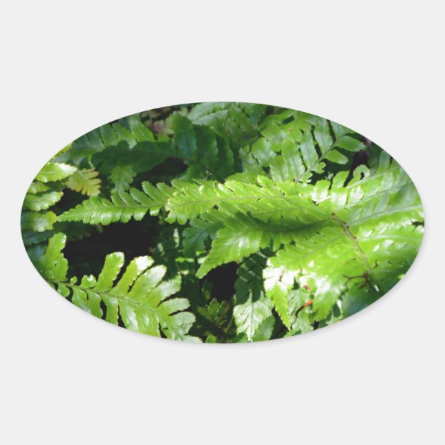 Spring Green Ferns tropical botanical greenery Oval Sticker (Front)