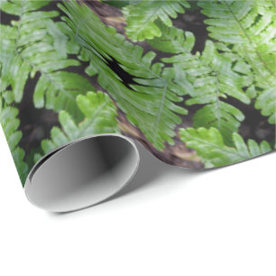 Spring Green Ferns Wrapping Paper