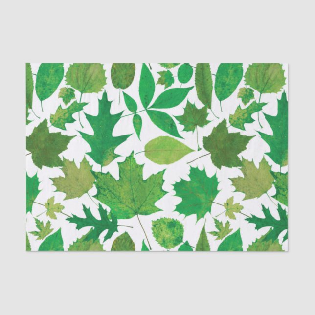 Spring Green Leaves on White Tissue Paper (Front)