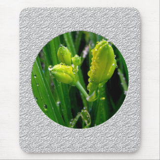 spring green lily buds mouse pad