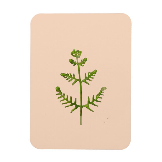 spring green  magnet (Vertical)