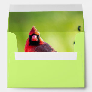 Spring Green Red Cardinal Inside Return Address Envelope