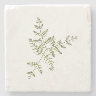 spring green stone coaster