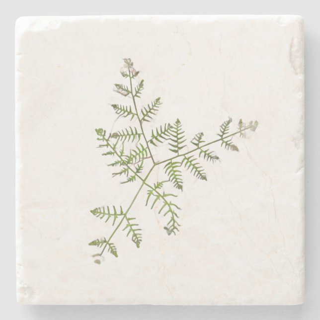 spring green  stone coaster (Front)