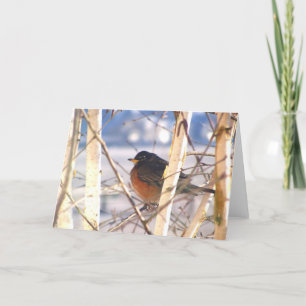 Spring Greetings Card