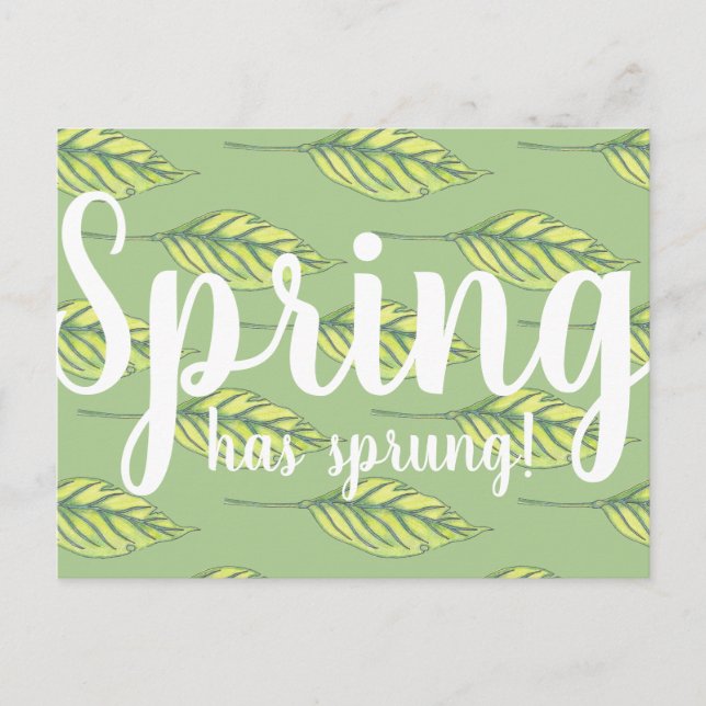 Spring Has Sprung Green Leaves Postcard (Front)