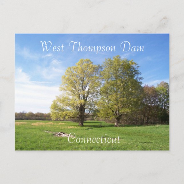 Spring Has Sprung Postcard (Front)