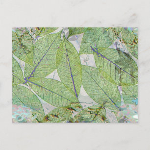 Spring Has Sprung Postcard