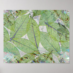 Spring Has Sprung Poster