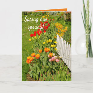 Spring has sprung, pretty spring garden, card