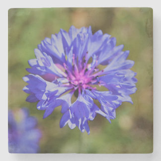 Spring has sprung stone coaster