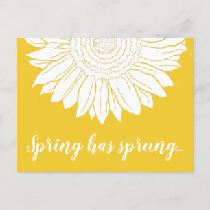 spring has sprung sunflower postcard