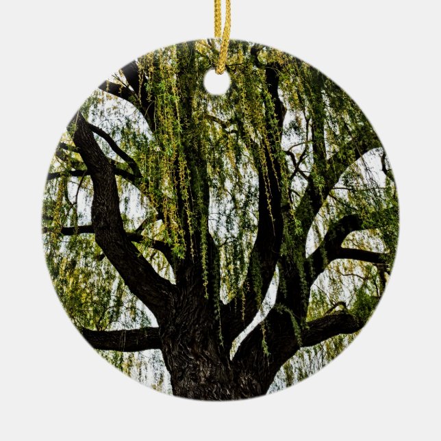 spring hopes muted ceramic ornament (Front)