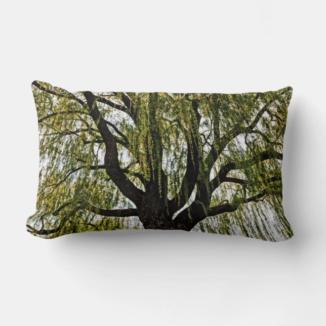 spring hopes muted lumbar pillow (Front)