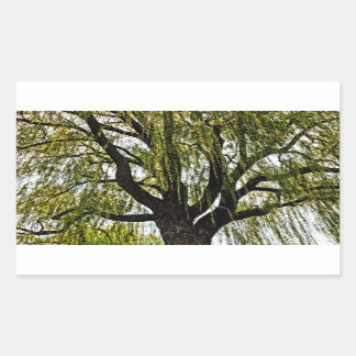 spring hopes muted sticker