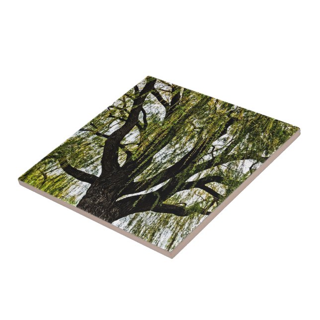 spring hopes muted tile (Side)