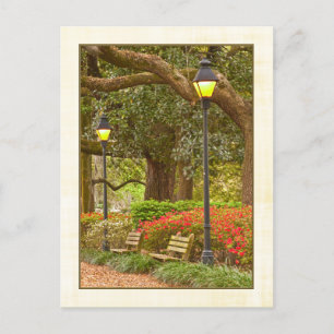 Spring in Forsyth Park - Savannah, GA Postcard