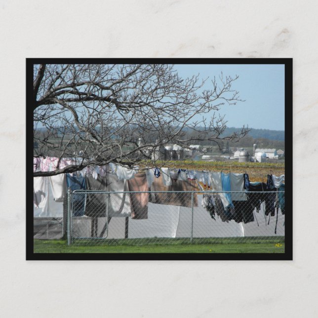 ~ Spring in Lancaster County ~ 56 Postcard (Front)