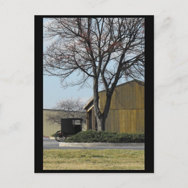 ~ Spring in Lancaster County ~ 96 Postcard (Front)