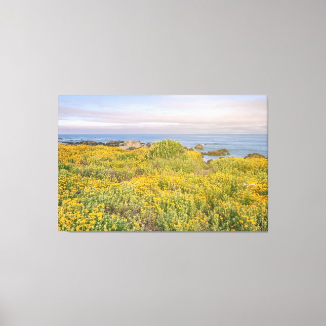 Spring in Monterey Canvas Print (Front)