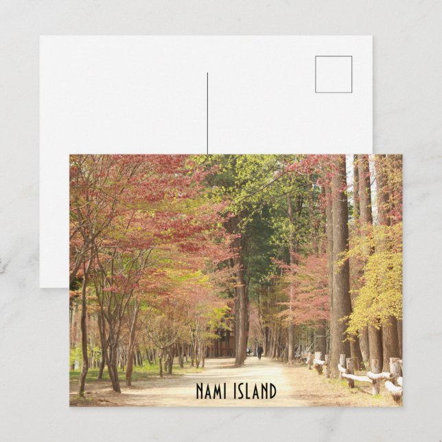 Spring in Nami Island Postcard (Front/Back)
