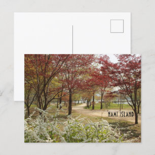 Spring in Nami Island Postcard