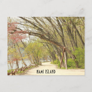 Spring in Nami Island Postcard