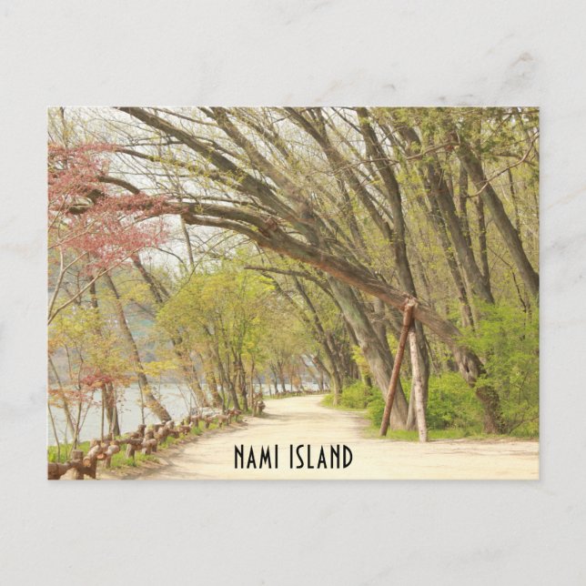 Spring in Nami Island Postcard (Front)