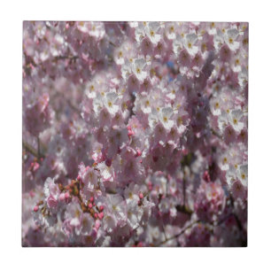 Spring in Pink Tile