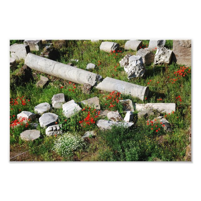 Spring in Rome Photo Print (Front)