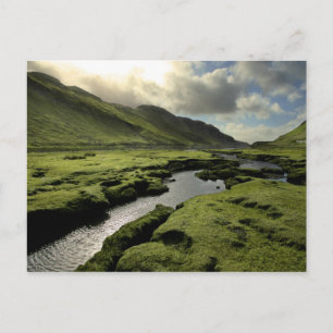 Spring in Scottish Highlands Postcard