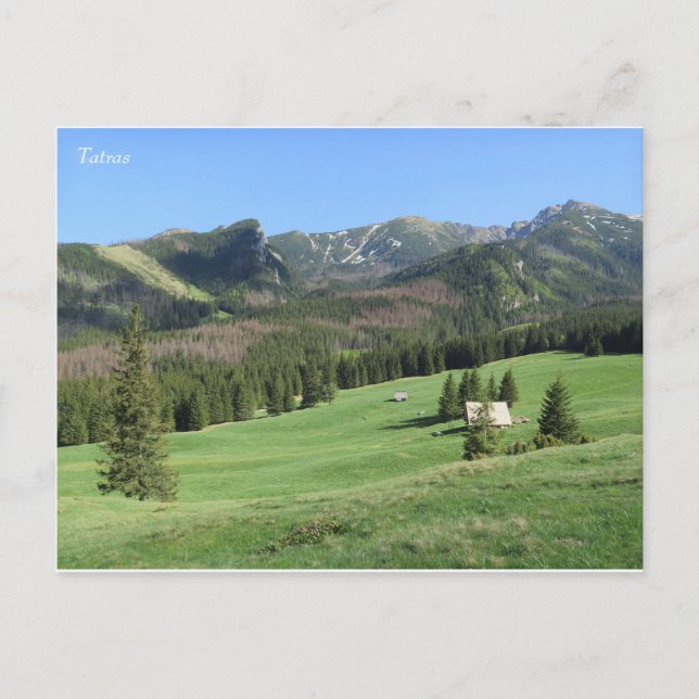 Spring in Tatras Postcard (Front)