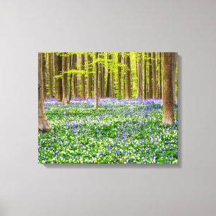 Spring in the Blue Forest Canvas Print