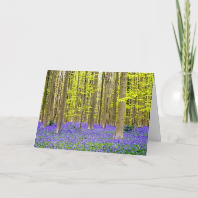 Spring in the Blue Forest Card (Front)