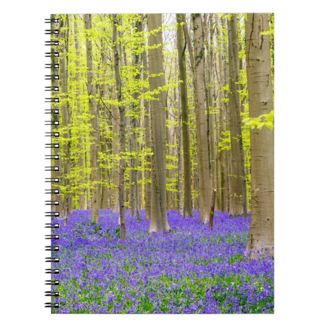 Spring in the Blue Forest Notebook (Front)