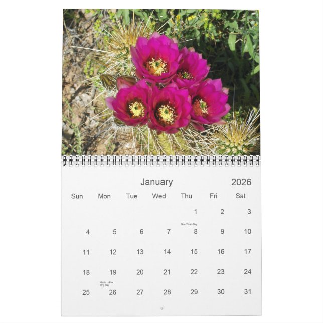 SPRING IN THE DESERT CALENDAR (Jan 2026)