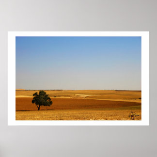 Spring in the Negev Poster