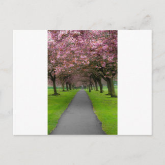 Spring in the Park Postcard